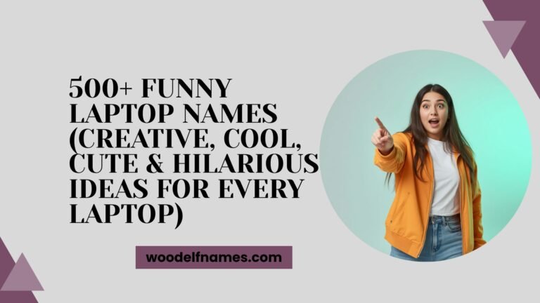 Funny-Laptop-Names