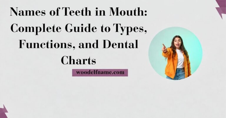 Text graphic reading "Names of Teeth in Mouth: Complete Guide to Types, Functions, and Dental Charts" with woodelfname.com website label and an excited woman pointing in a circular frame