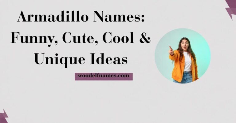 Web article banner featuring bold text reading Armadillo Names Funny Cute Cool Unique Ideas with woodelfnames.com branding and a circular image cutout of a woman pointing.
